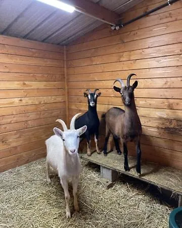 بيت ضيافة Escapade De Vauclair 3*